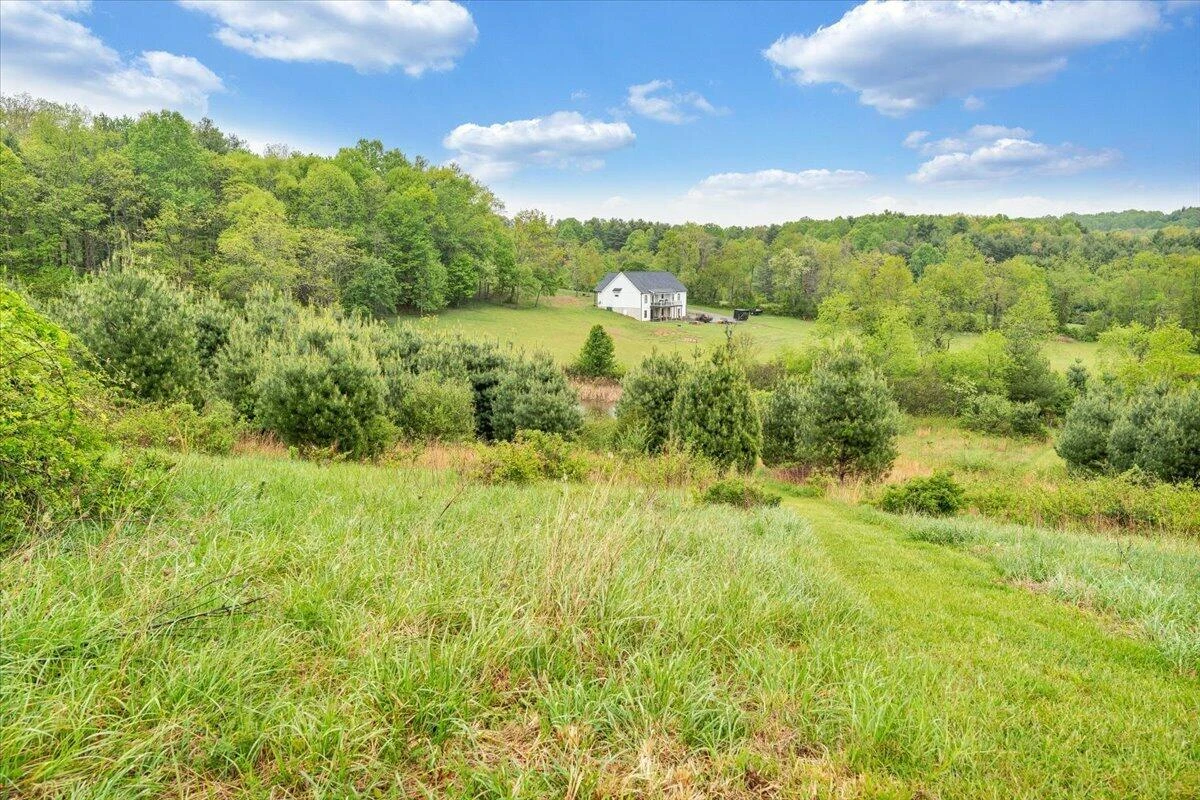 1011 Wilson Cemetery RD - Photo 61