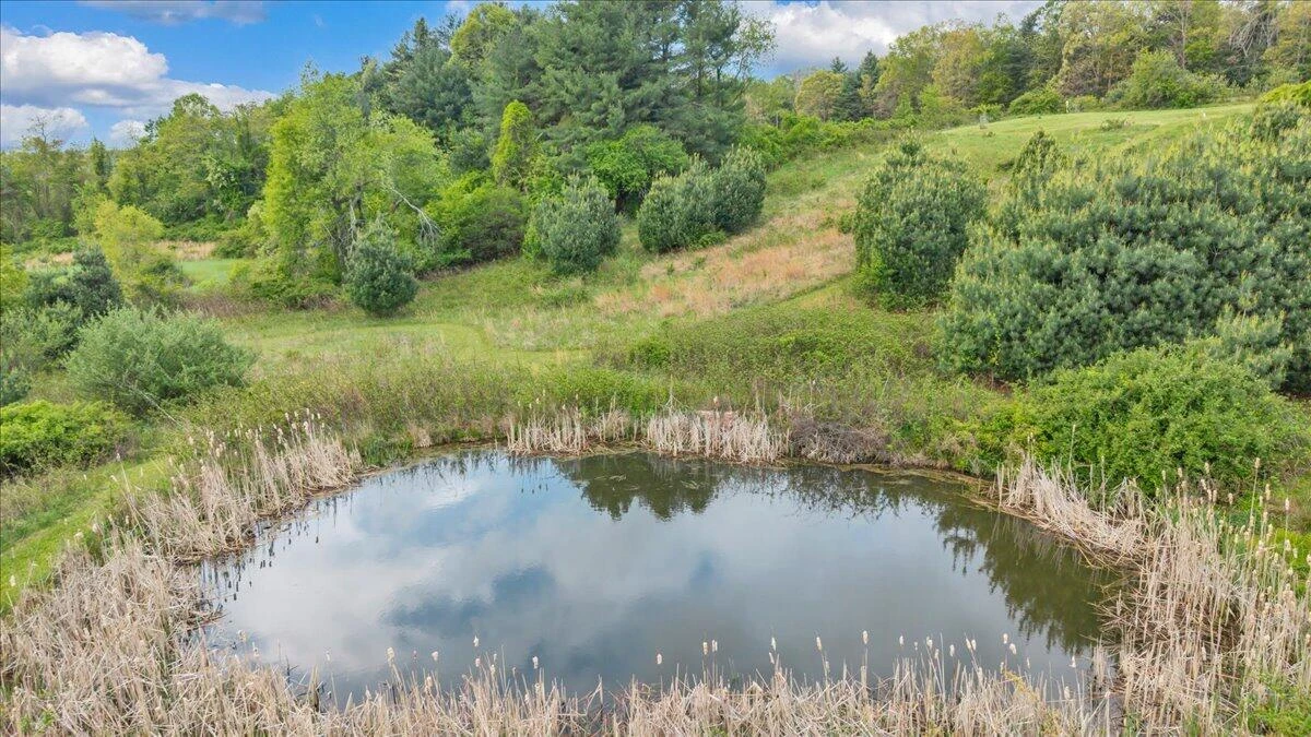 1011 Wilson Cemetery RD - Photo 80