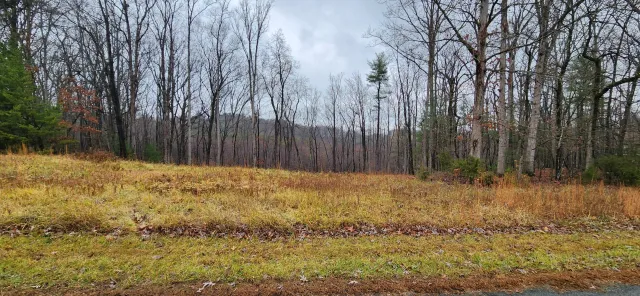 LOT 11 Woods Edge DR, Rocky Mount, VA, 24151