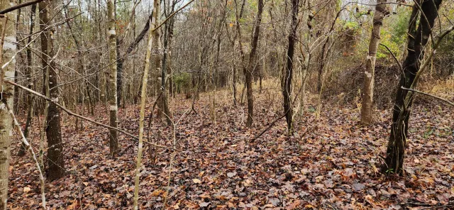 LOT 6 Brooks Mill RD, Glade Hill, VA, 24092