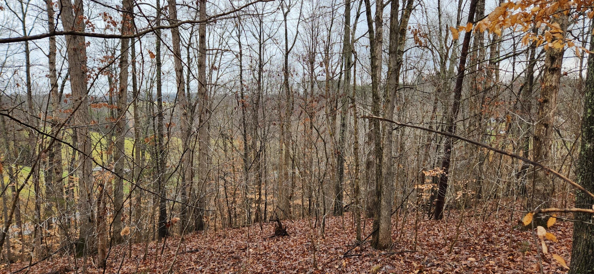 LOT 6 Brooks Mill RD - Photo 3