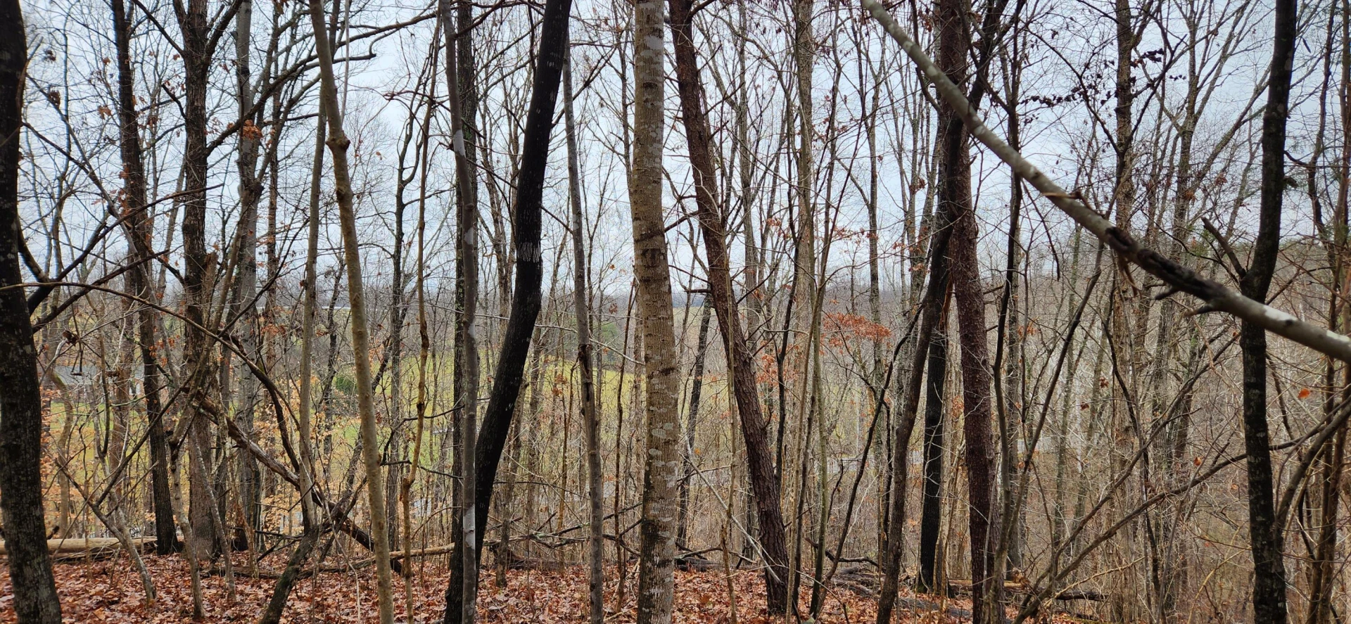 LOT 6 Brooks Mill RD - Photo 4