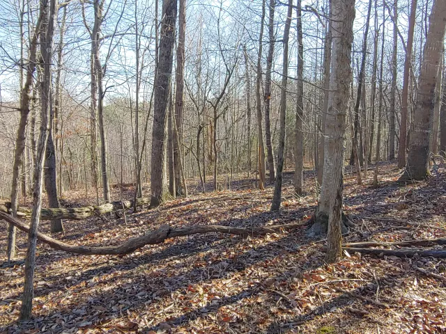 LOT 1 Truman Hill RD, Hardy, VA, 24101