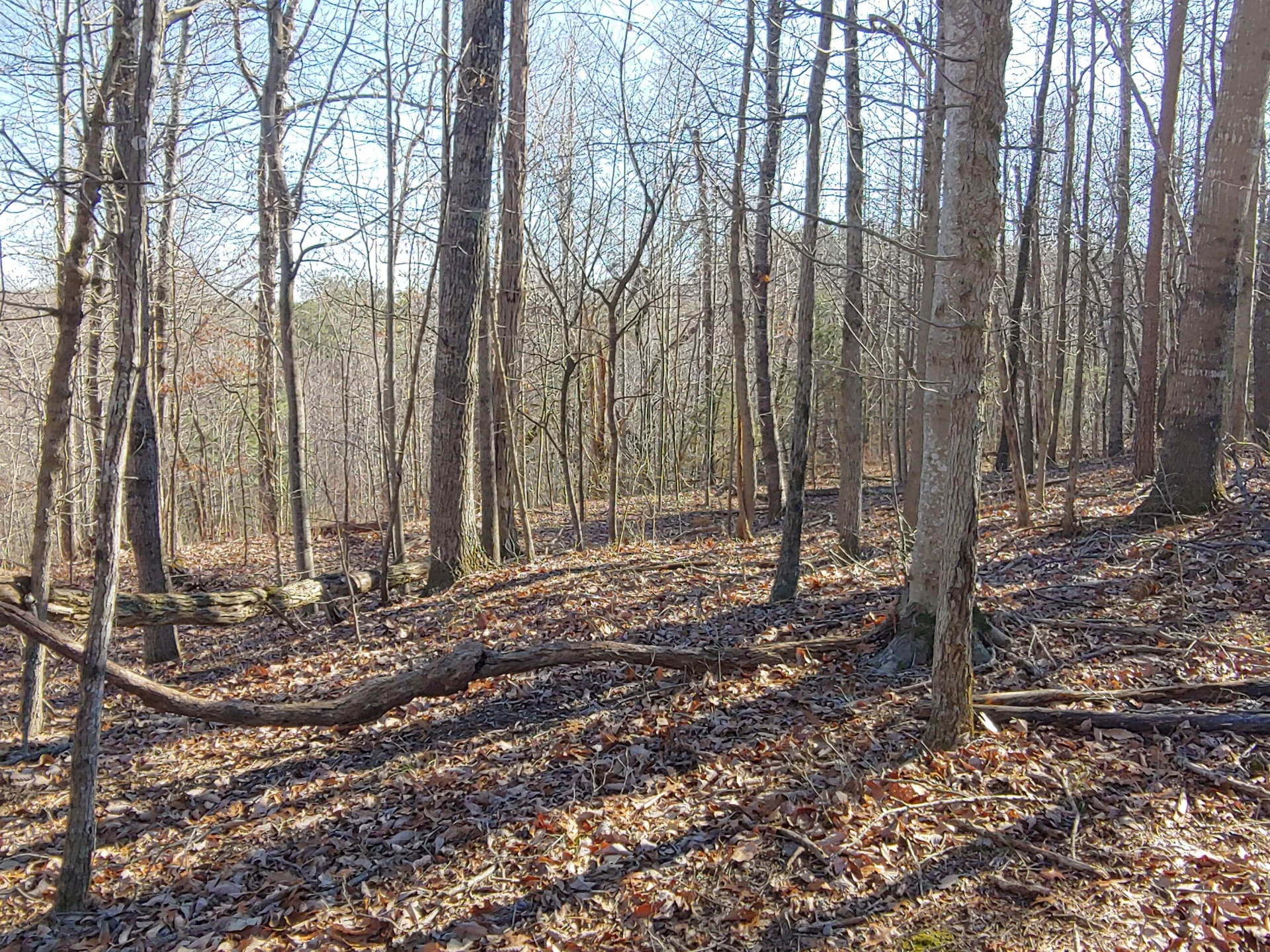 LOT 1 Truman Hill RD