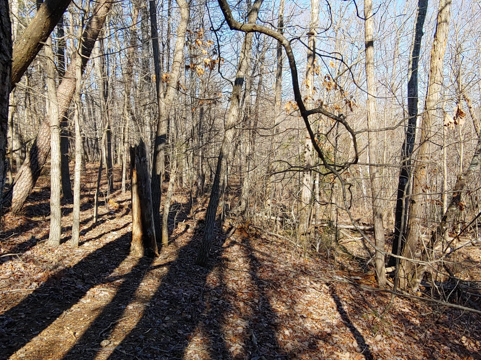 LOT 1 Truman Hill RD - Photo 2