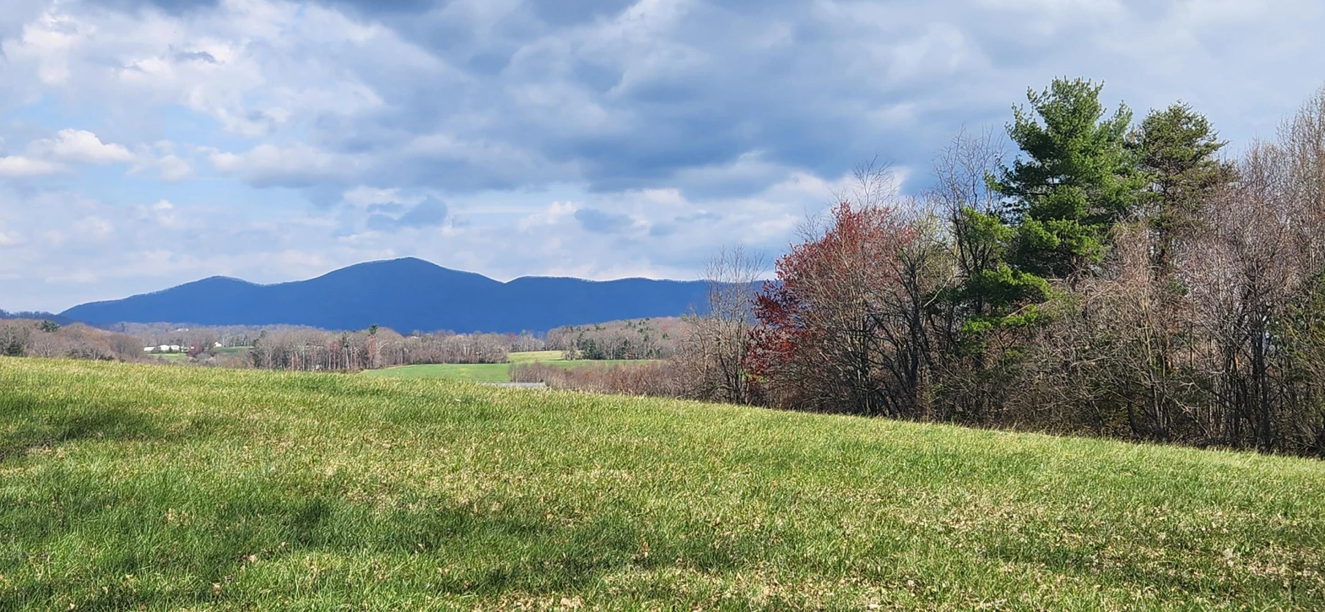 LOT 1 Callaway RD