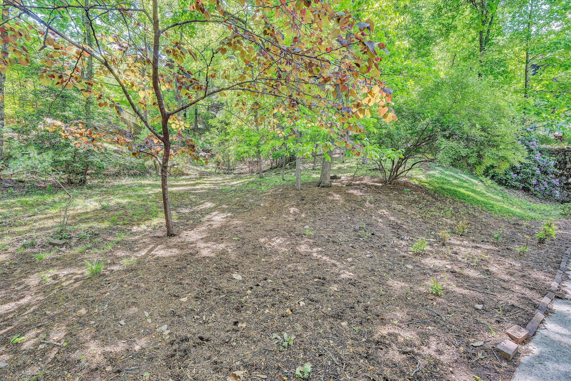 3010 Rosalind AVE - Photo 58