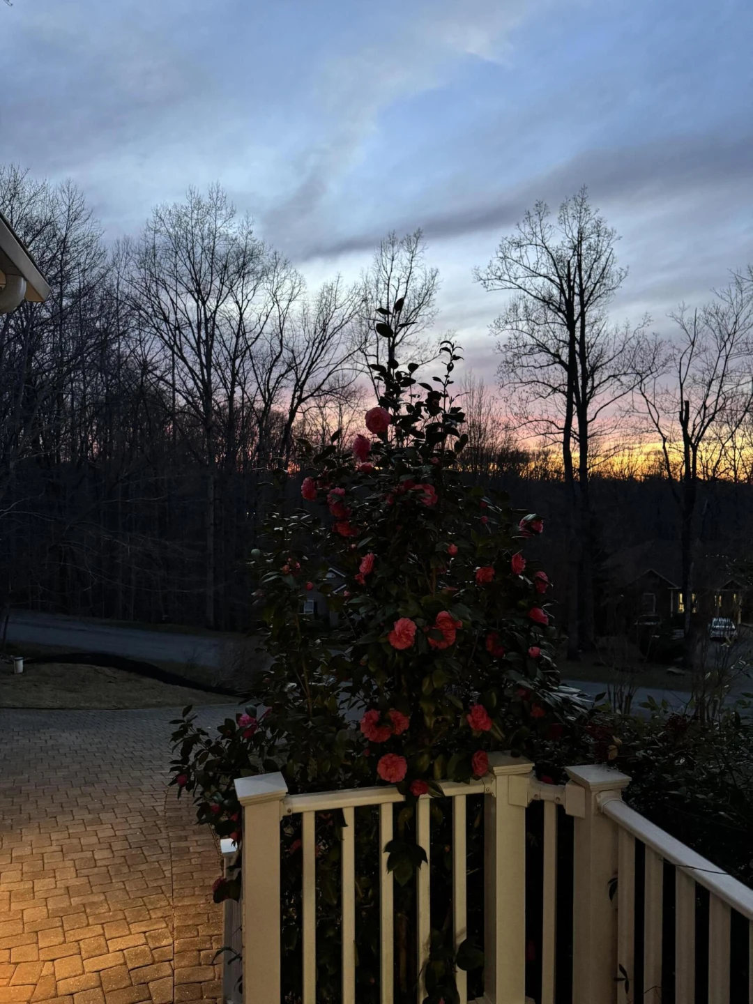 100 Waterside DR - Photo 49
