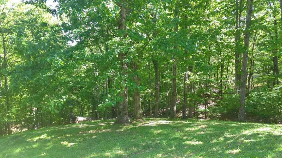 204 Bentwood DR - Photo 12