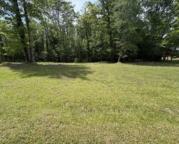 0 Mariah DR - Photo 2
