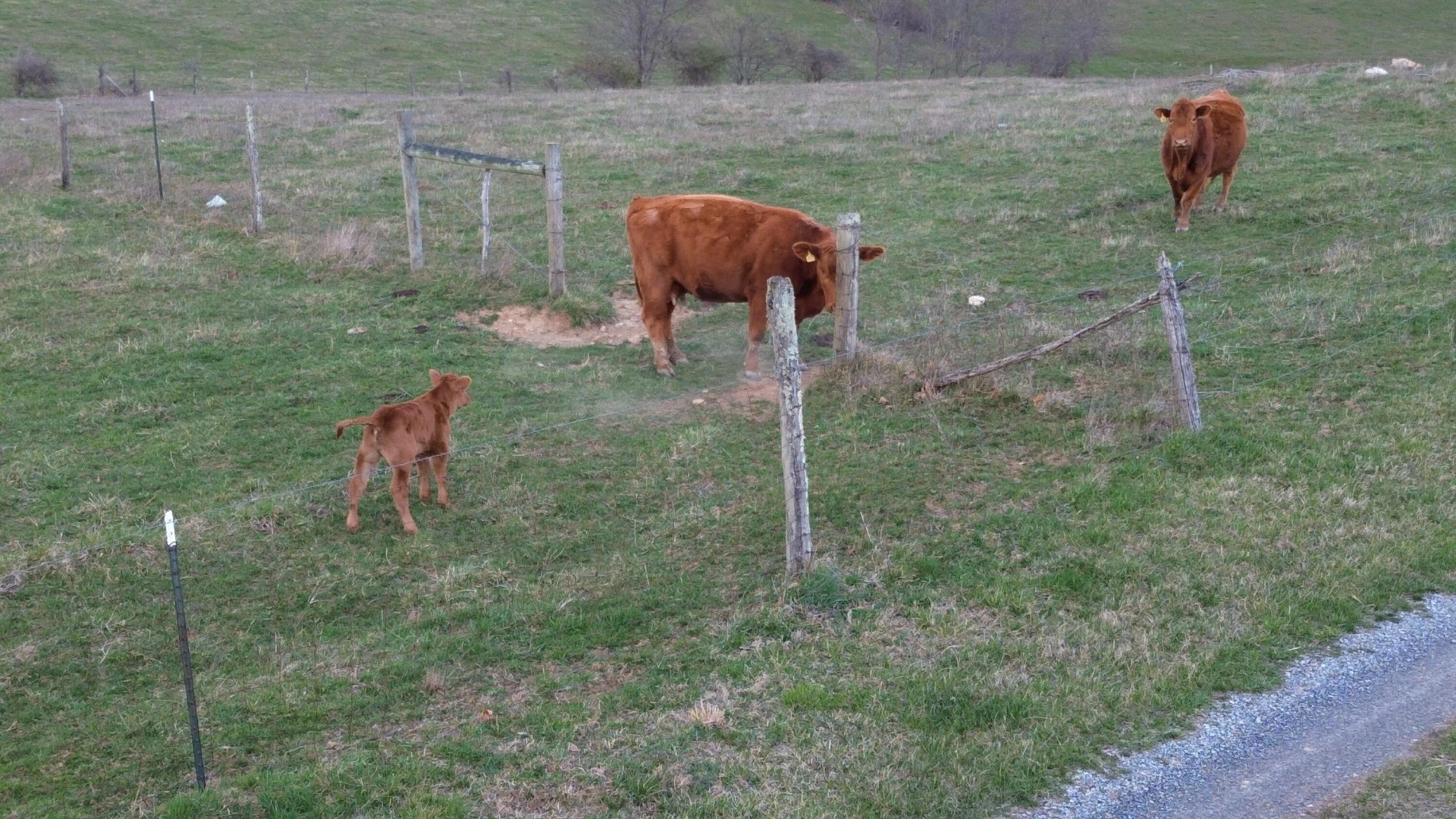 6784 Conner RD - Photo 13