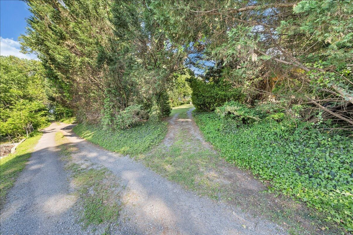 1524 Tazewell AVE - Photo 42