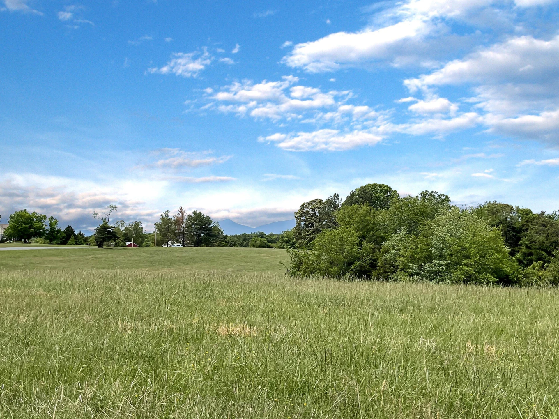 2556 Rock Cliff RD - Photo 11