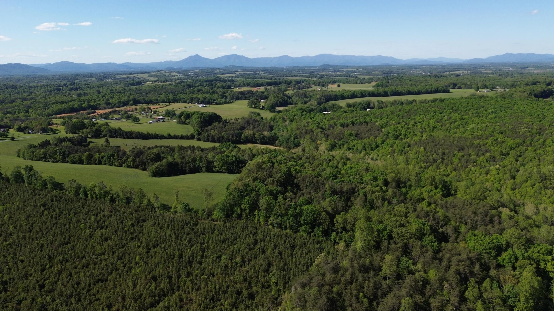 2556 Rock Cliff RD - Photo 2