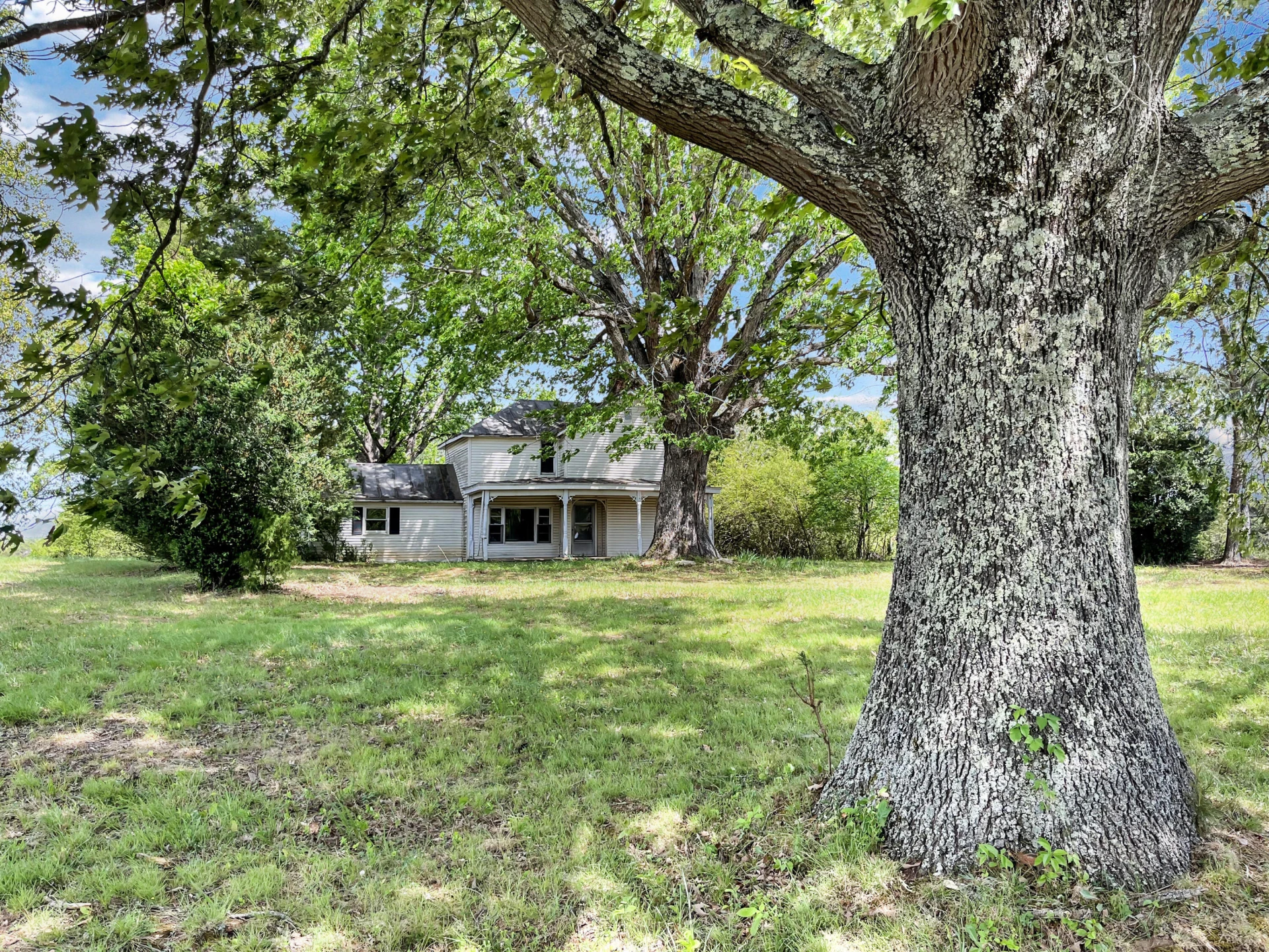 2556 Rock Cliff RD - Photo 8