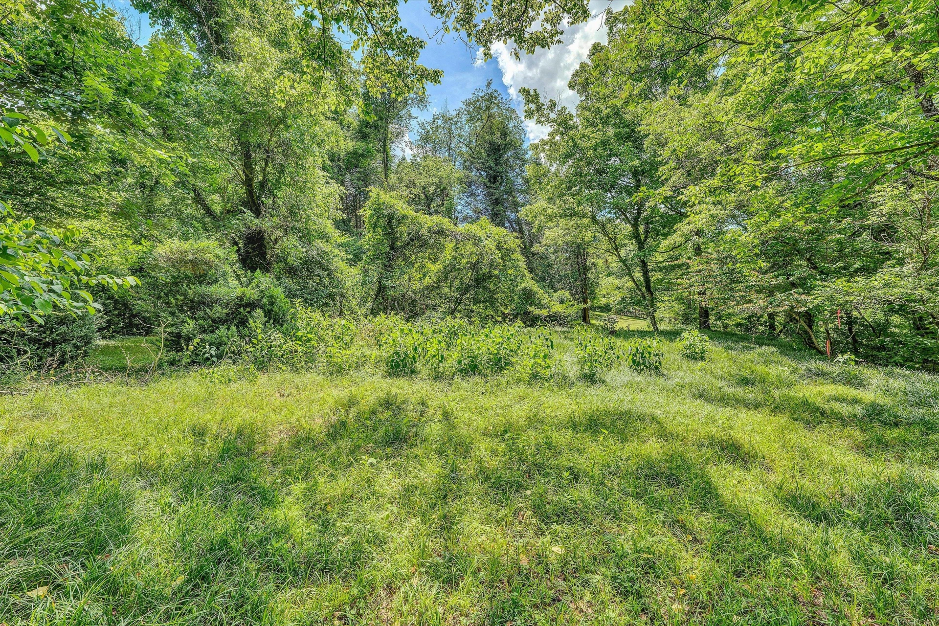 0 Greyholme LN - Photo 14