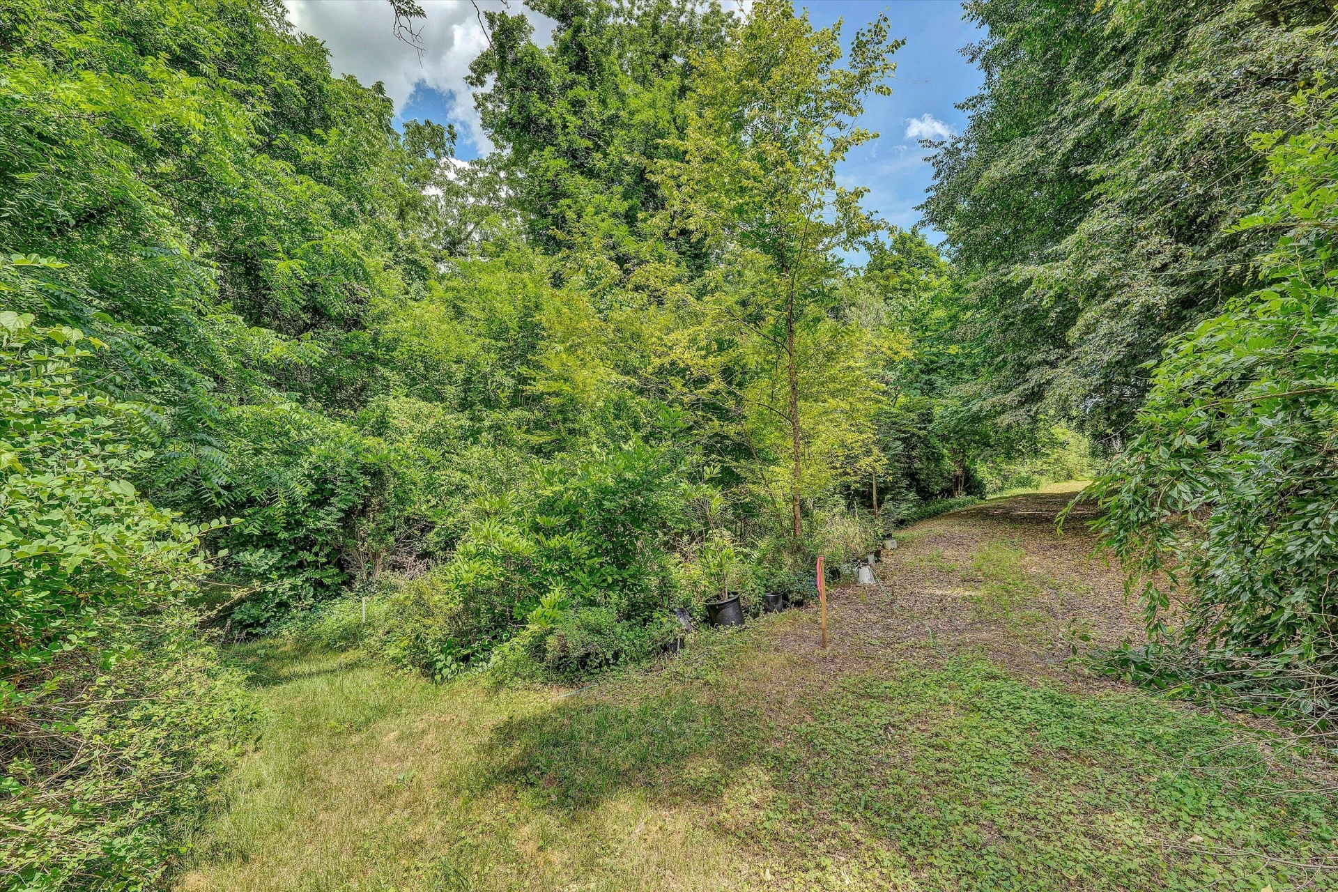 0 Greyholme LN - Photo 17