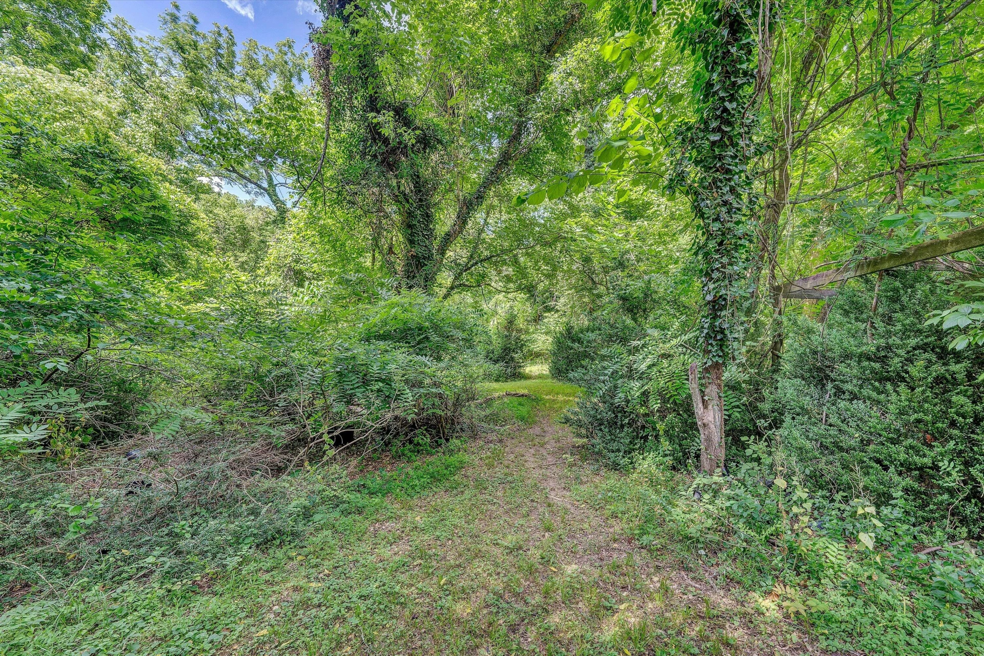 0 Greyholme LN - Photo 18