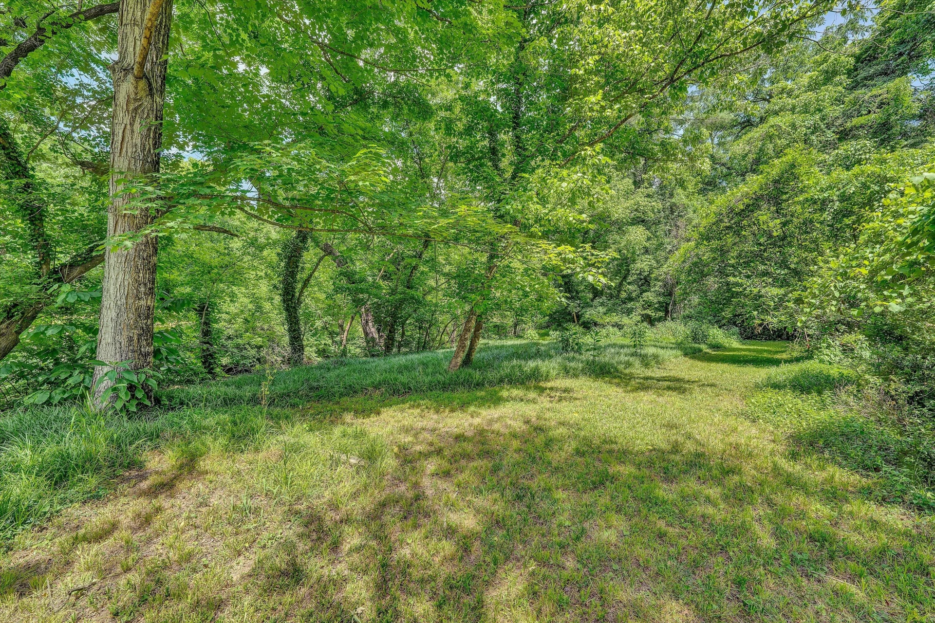 0 Greyholme LN - Photo 7