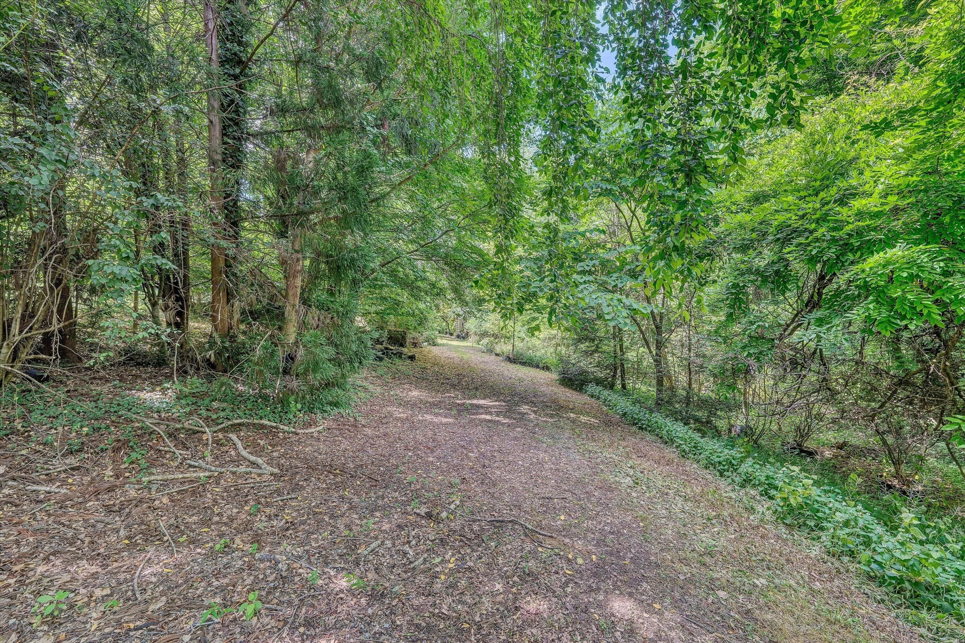 0 Greyholme LN - Photo 9