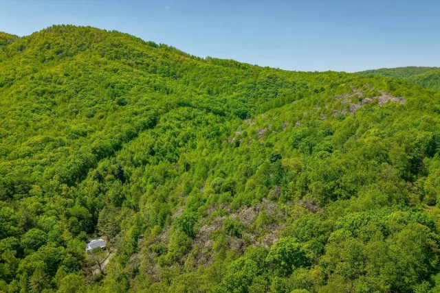 TBD AUDREY LN BLUE RIDGE, VA 24064, Blue Ridge, VA, 24064