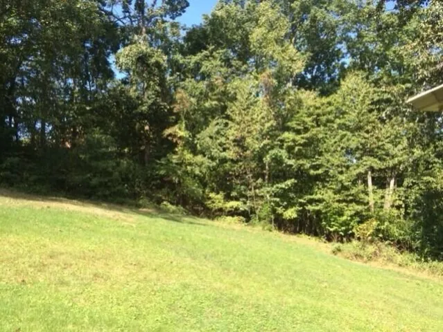 7429 Old Mill Plantation DR, Roanoke, VA, 24018