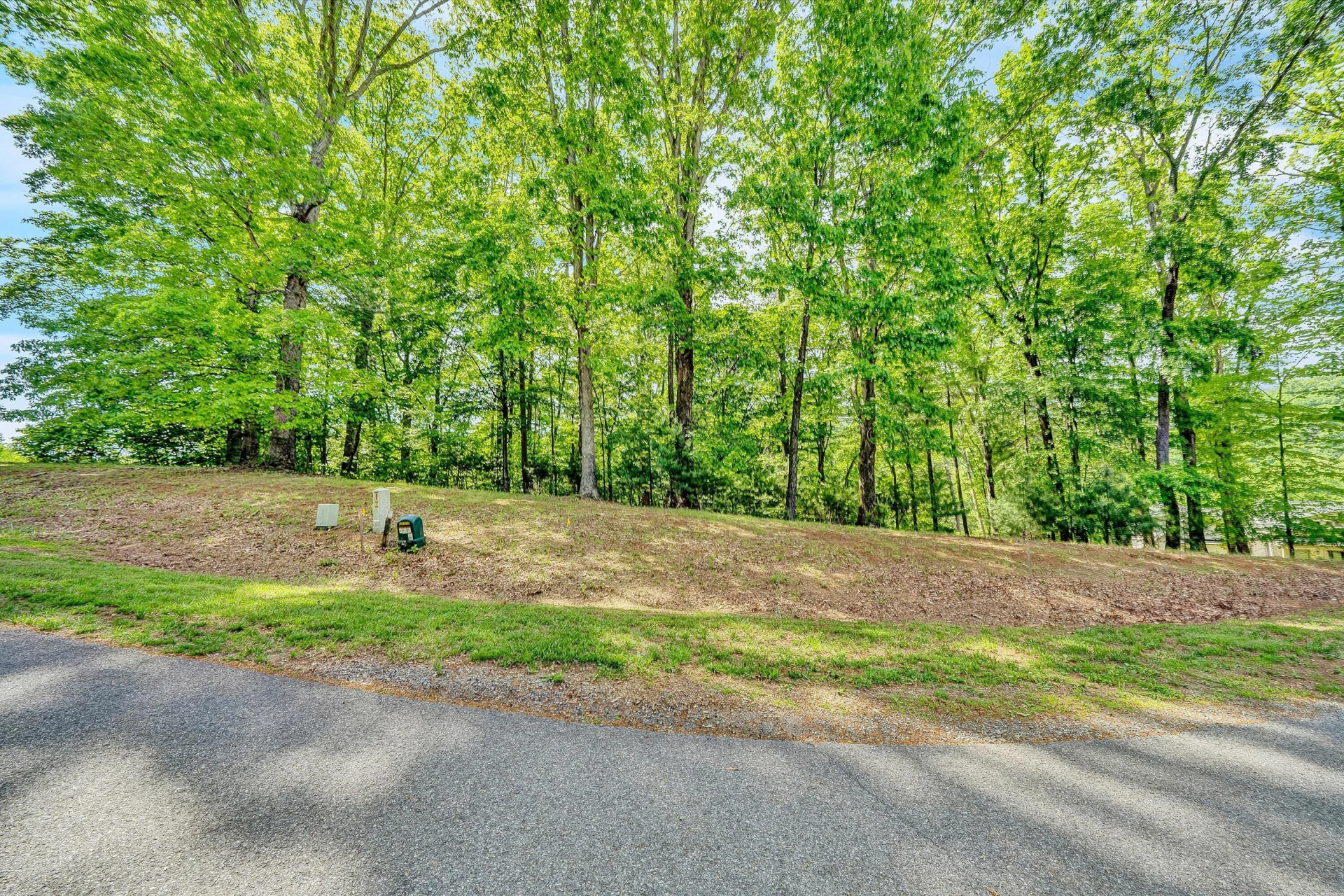 Lot 26 River Rock RD - Photo 5
