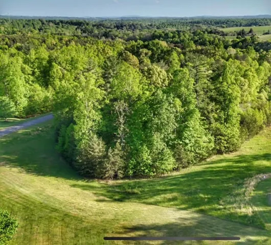 Lot 30 Revolution RD, Wirtz, VA, 24184