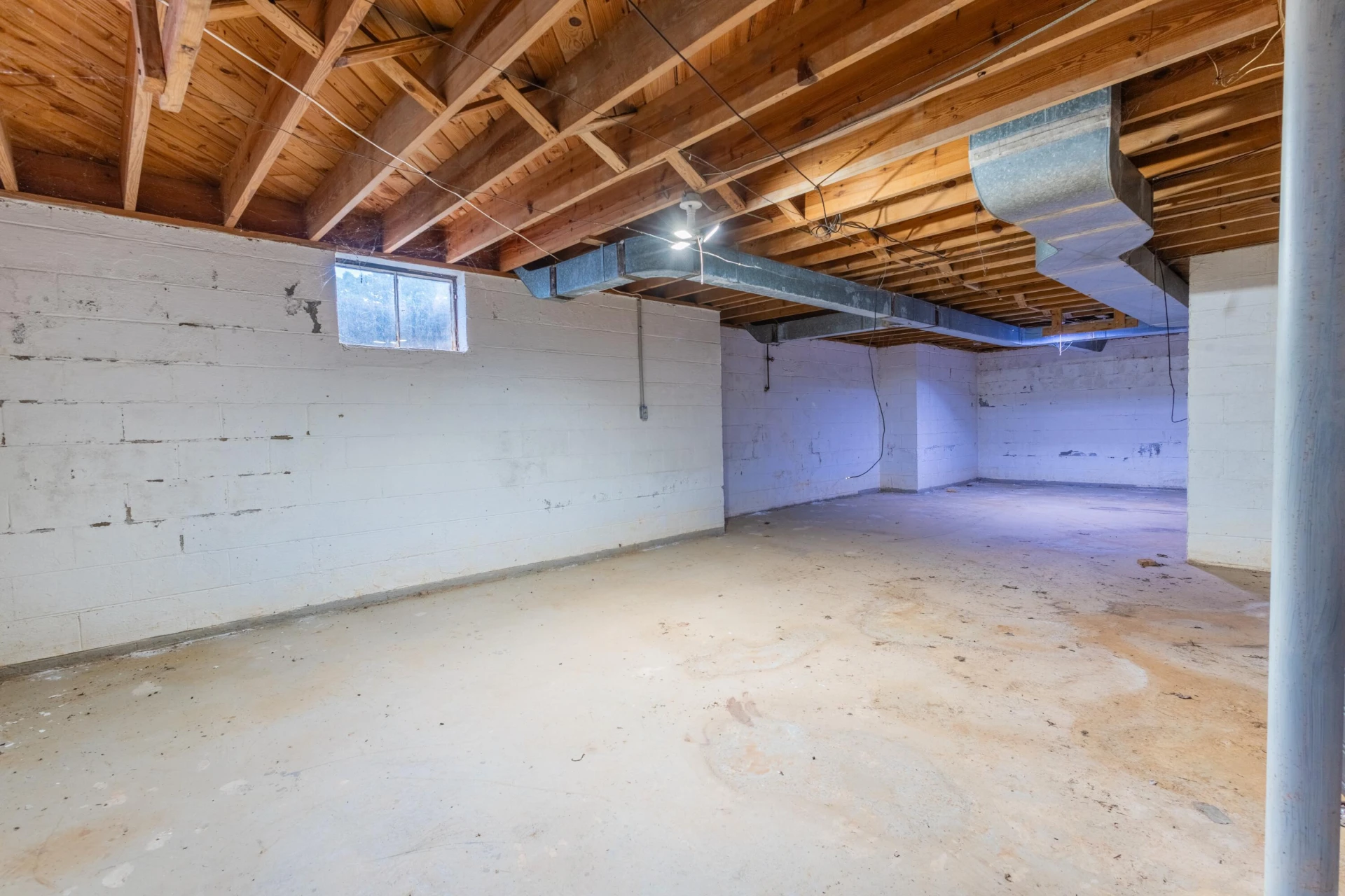 60 Whitten ST - Photo 21