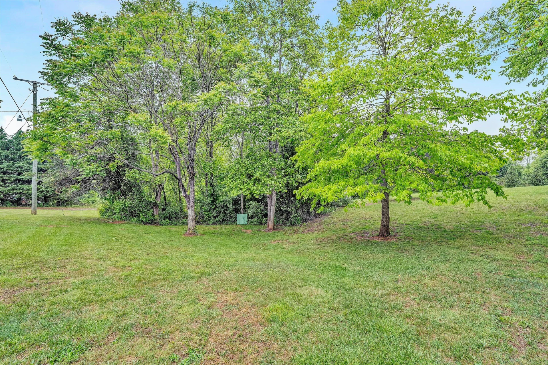 3103 Virgil H Goode - Photo 41