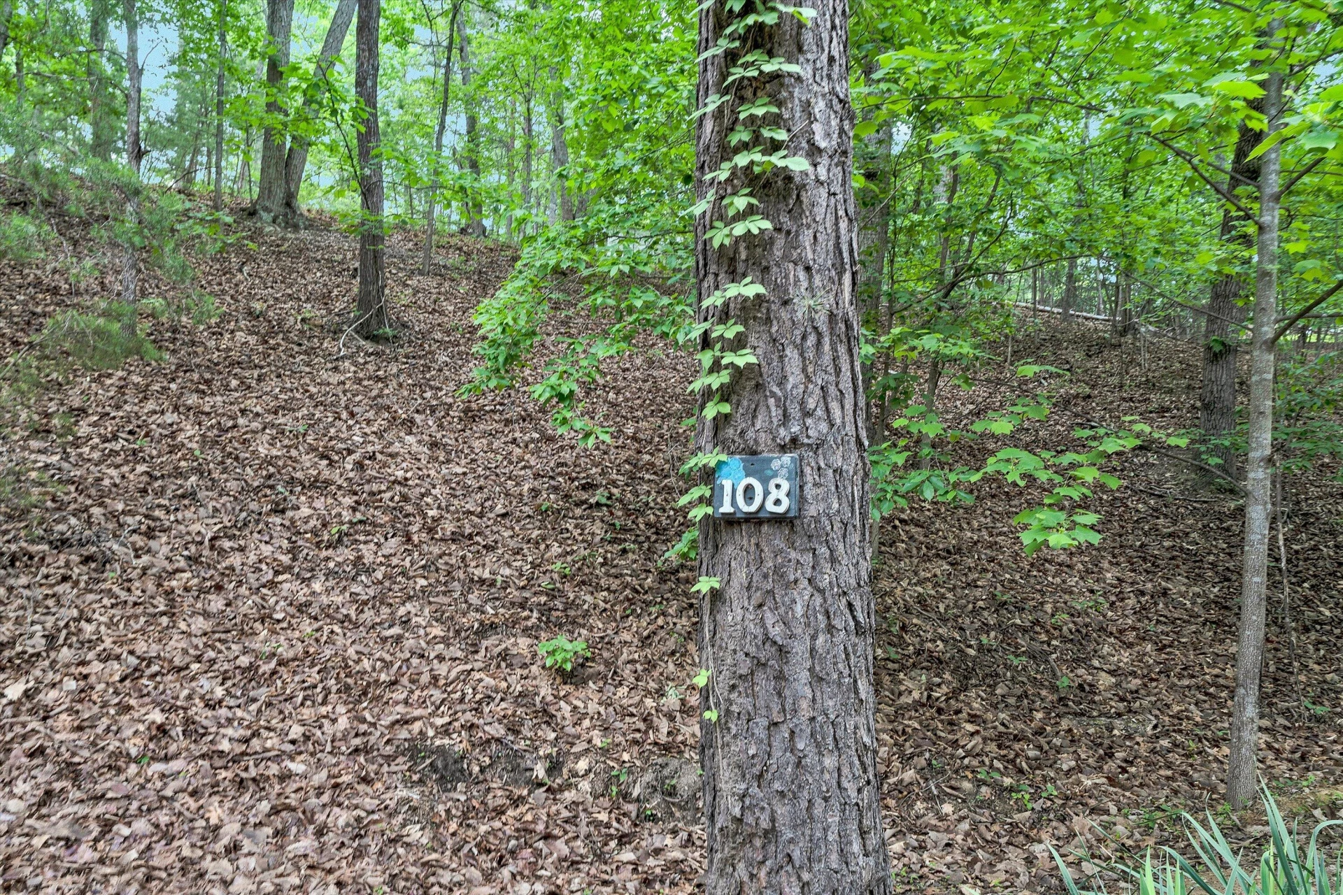 108 Mountain Lane TER - Photo 33