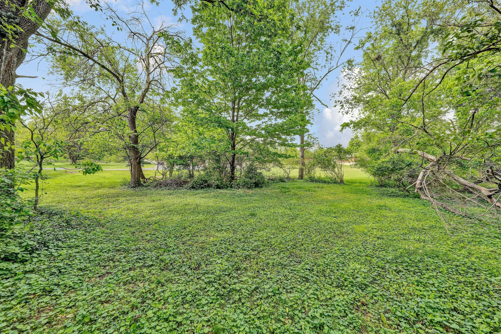 6915 Tinkerdale RD - Photo 19