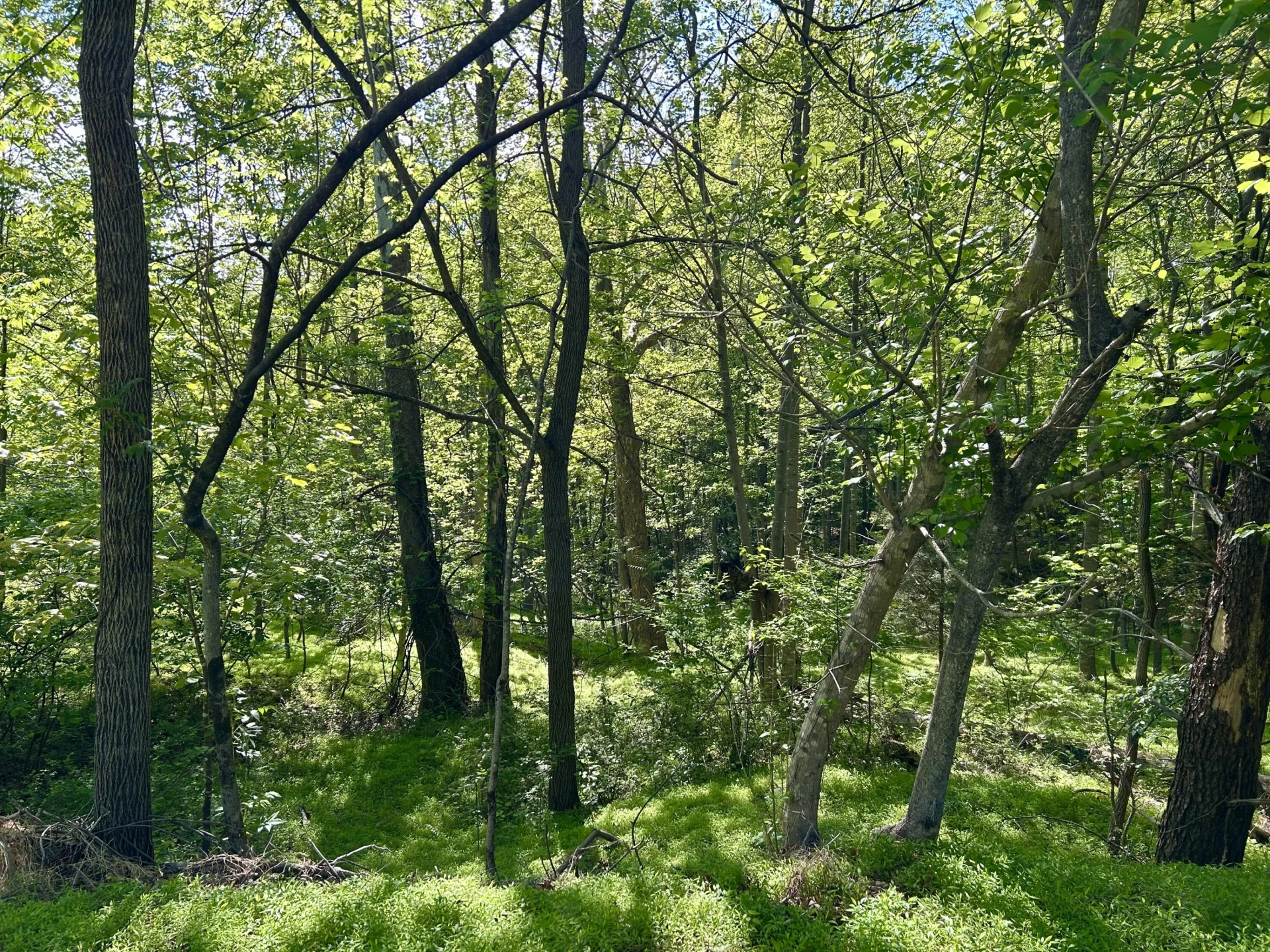 207 & 211 Scenic DR - Photo 6
