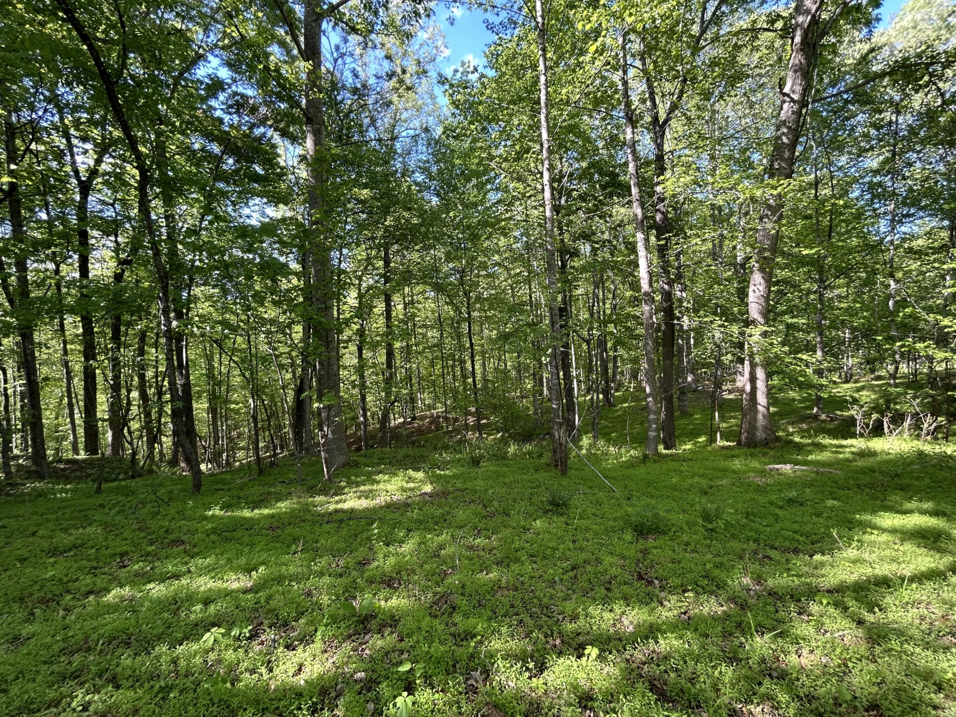 207 & 211 Scenic DR - Photo 7