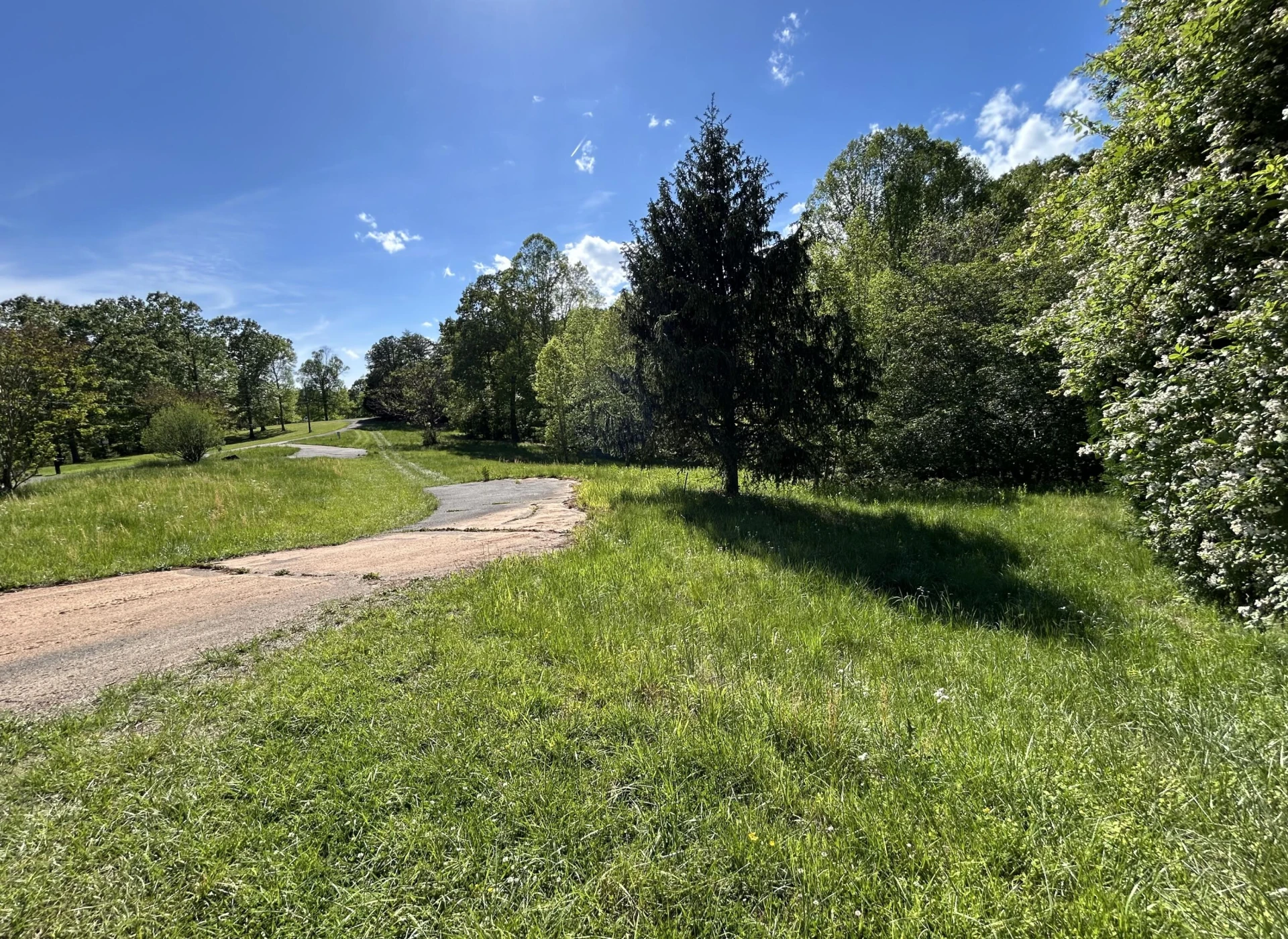 207 Scenic DR - Photo 3