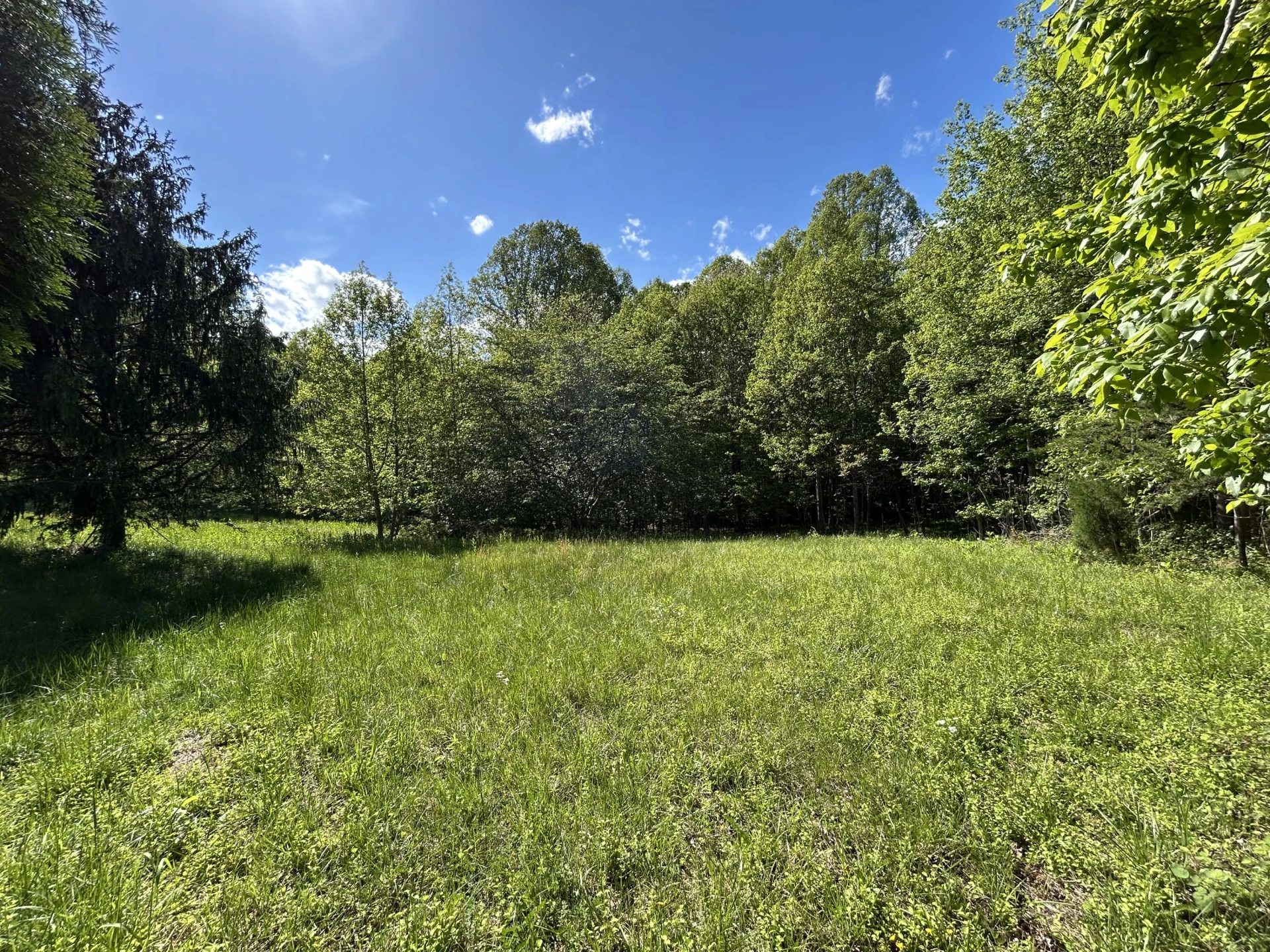 211 Scenic DR - Photo 4