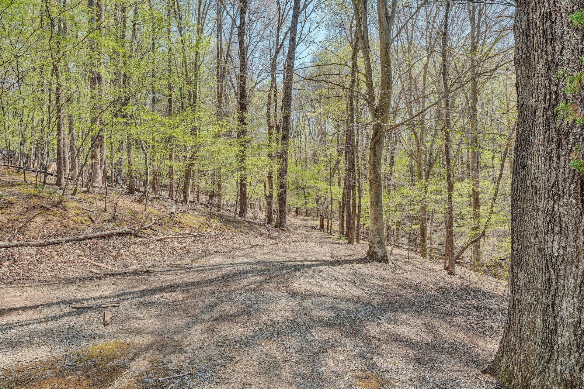 143 Charlotte LN - Photo 103