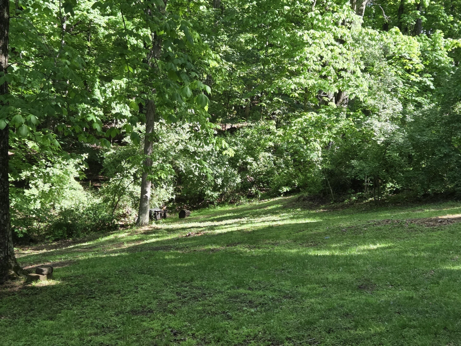 7498 James WAY - Photo 4