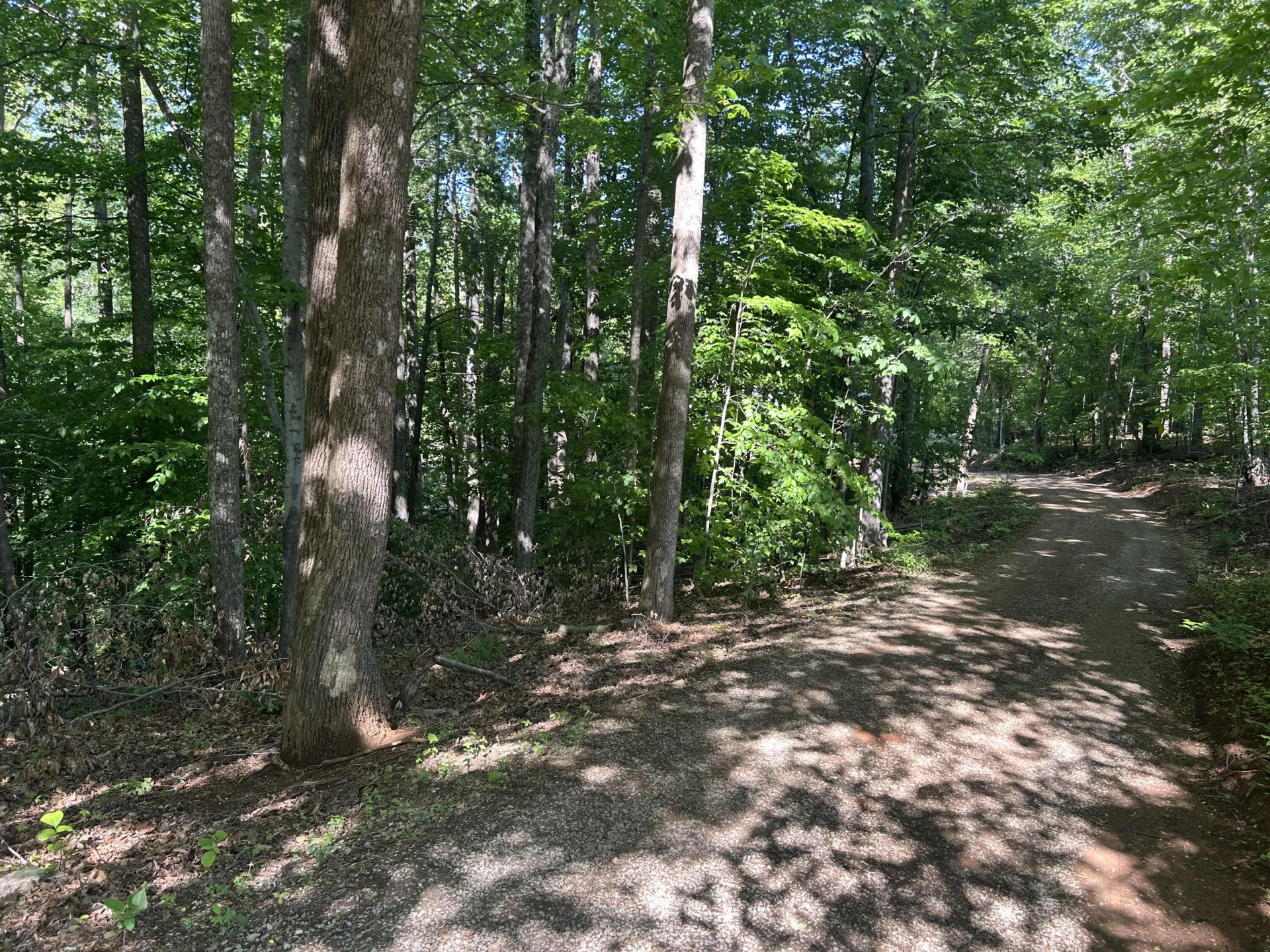 181 Narrows RD - Photo 2