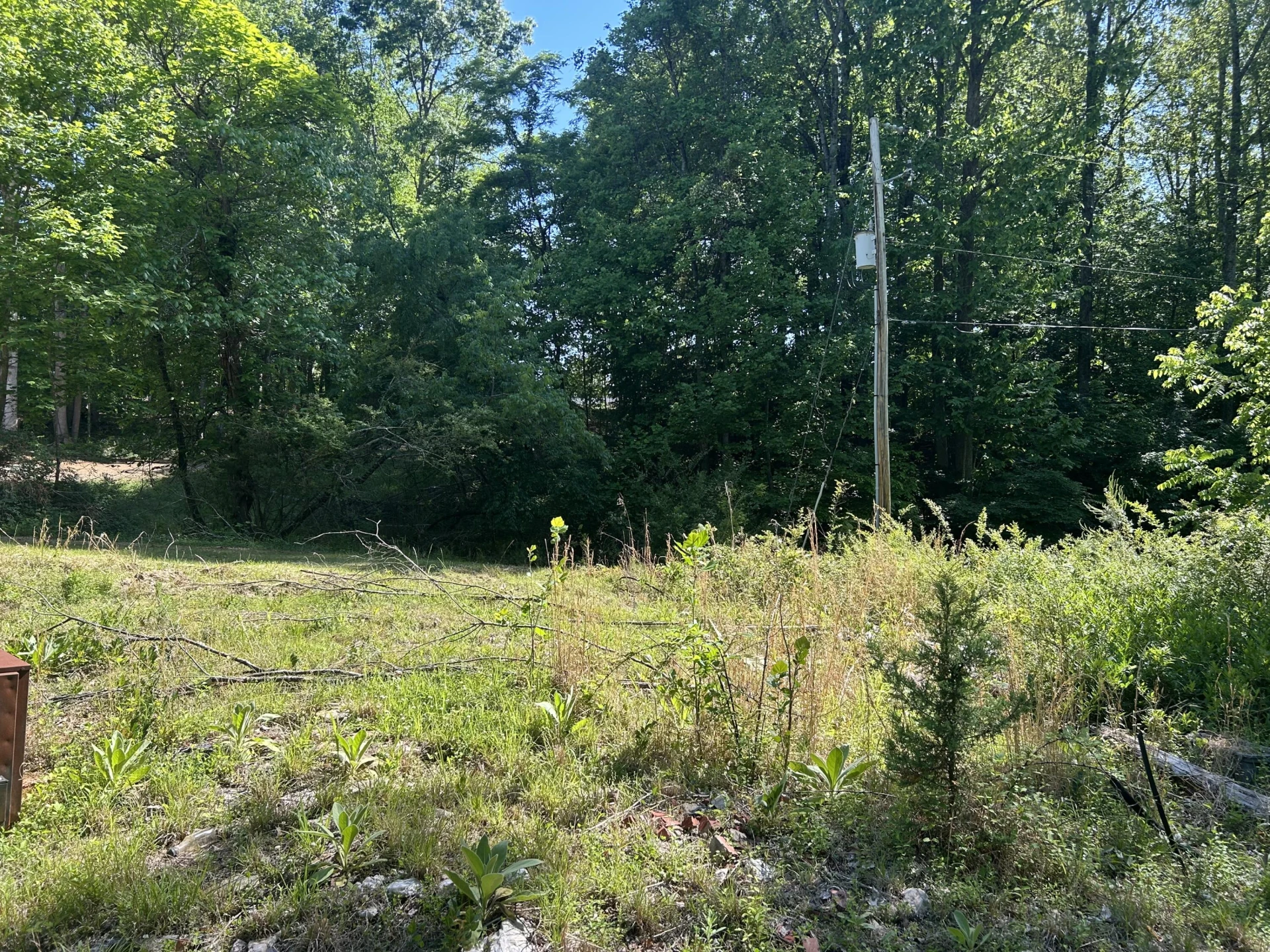 181 Narrows RD - Photo 3