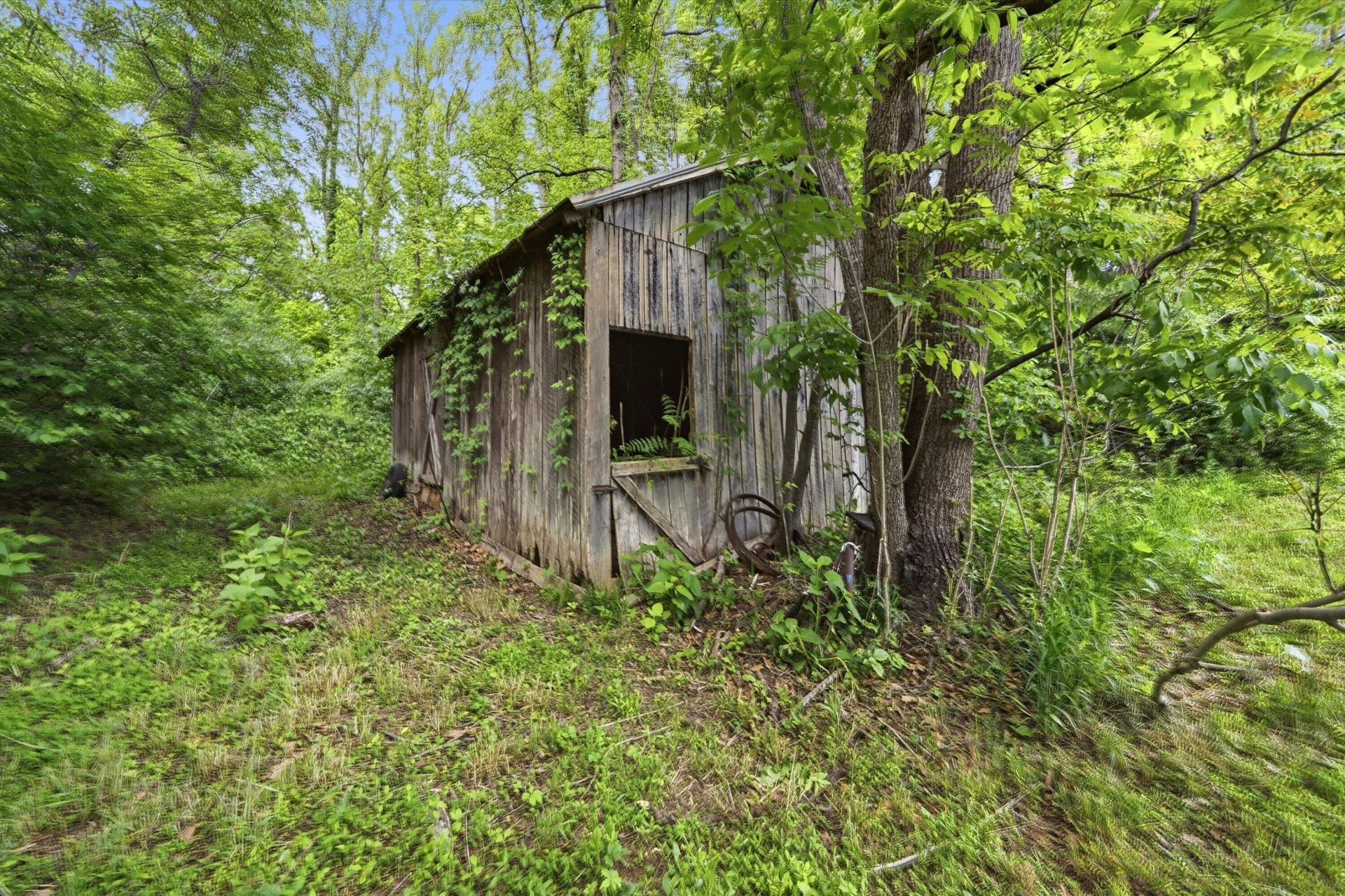 133 Kelsey WAY - Photo 49