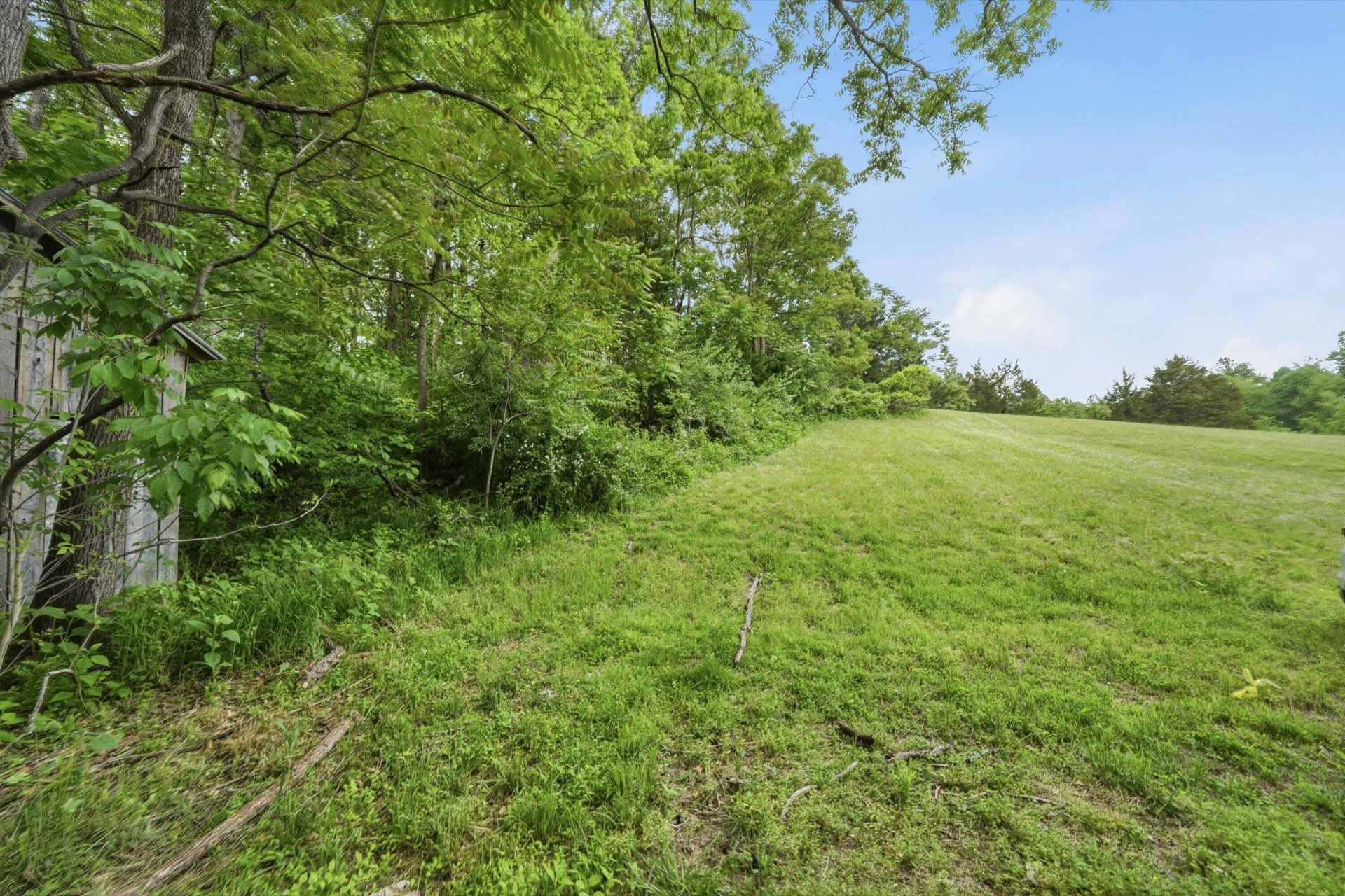 133 Kelsey WAY - Photo 54