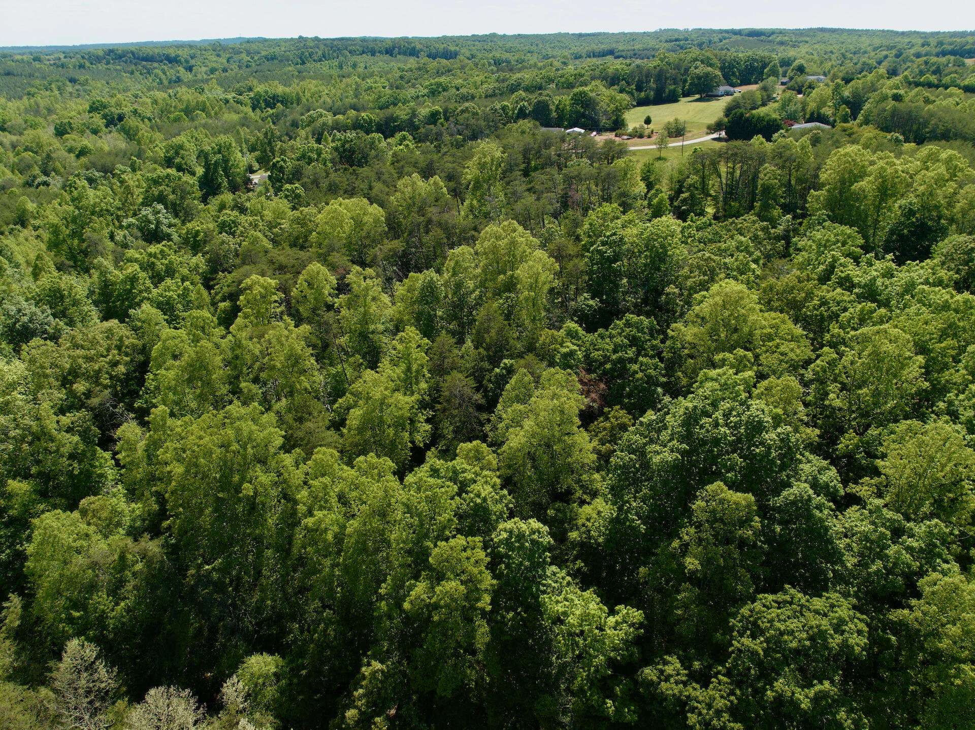 0 River Ridge LN - Photo 46