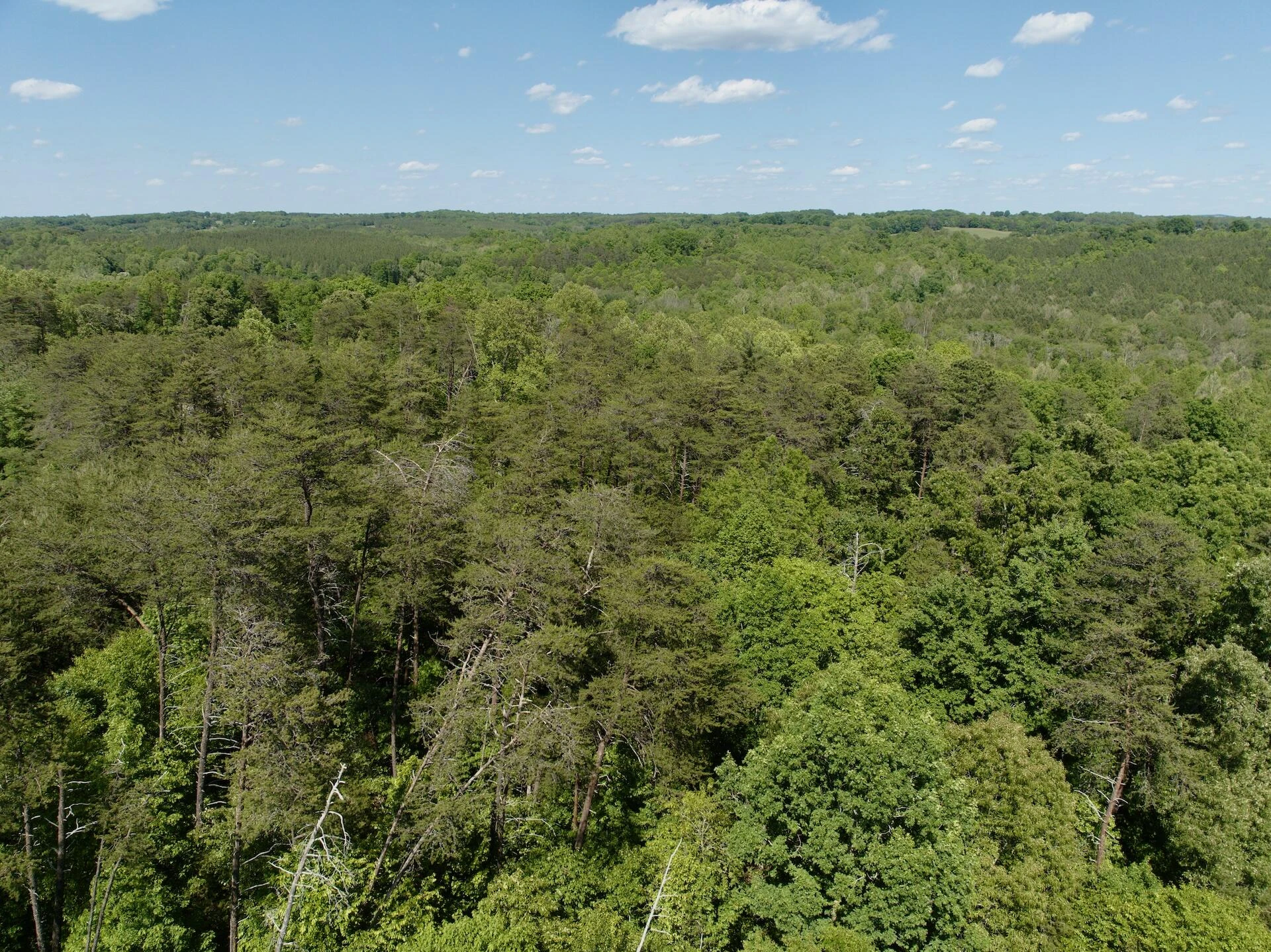 0 River Ridge LN - Photo 51