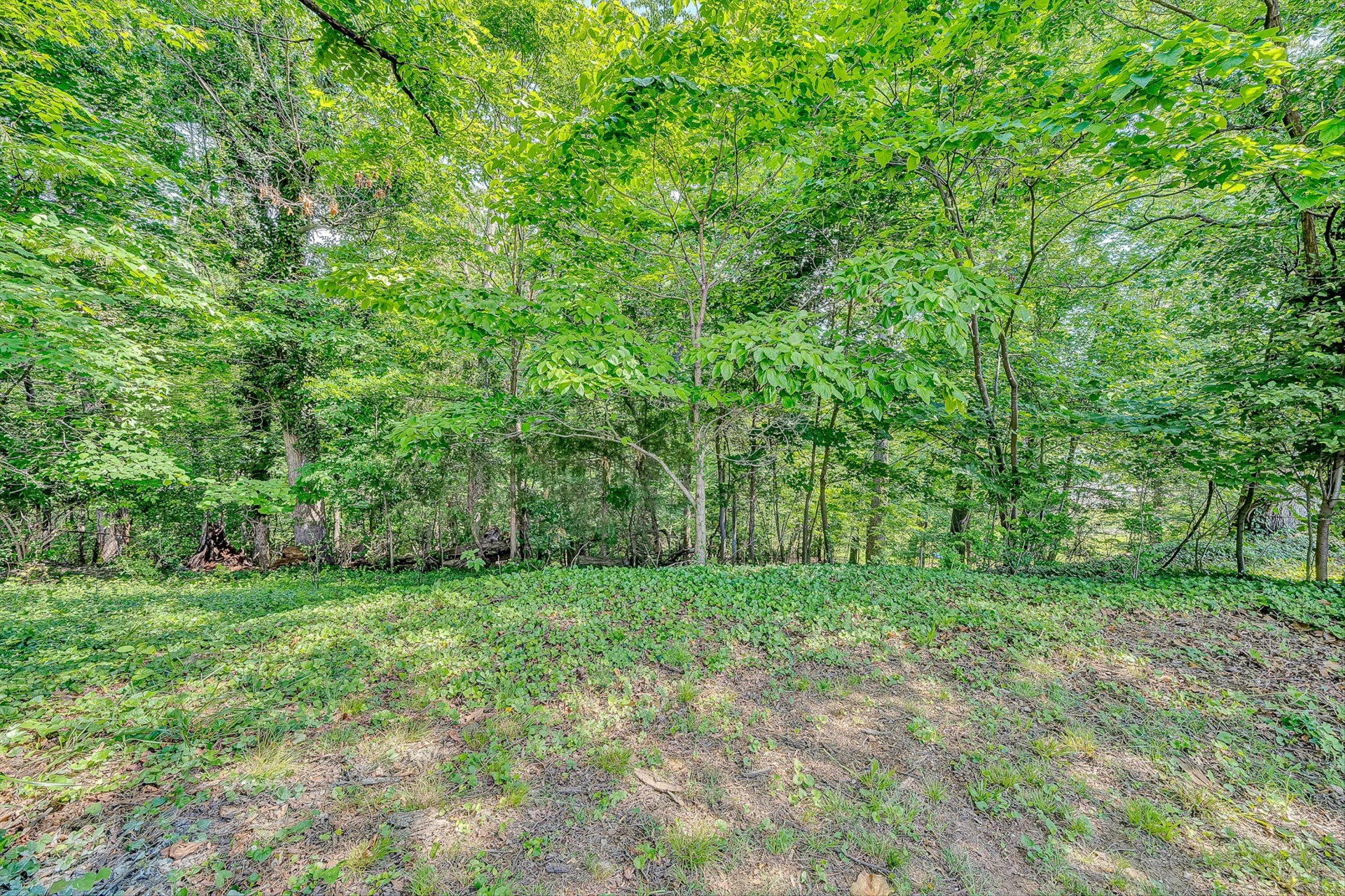 5225 Morwanda ST - Photo 30