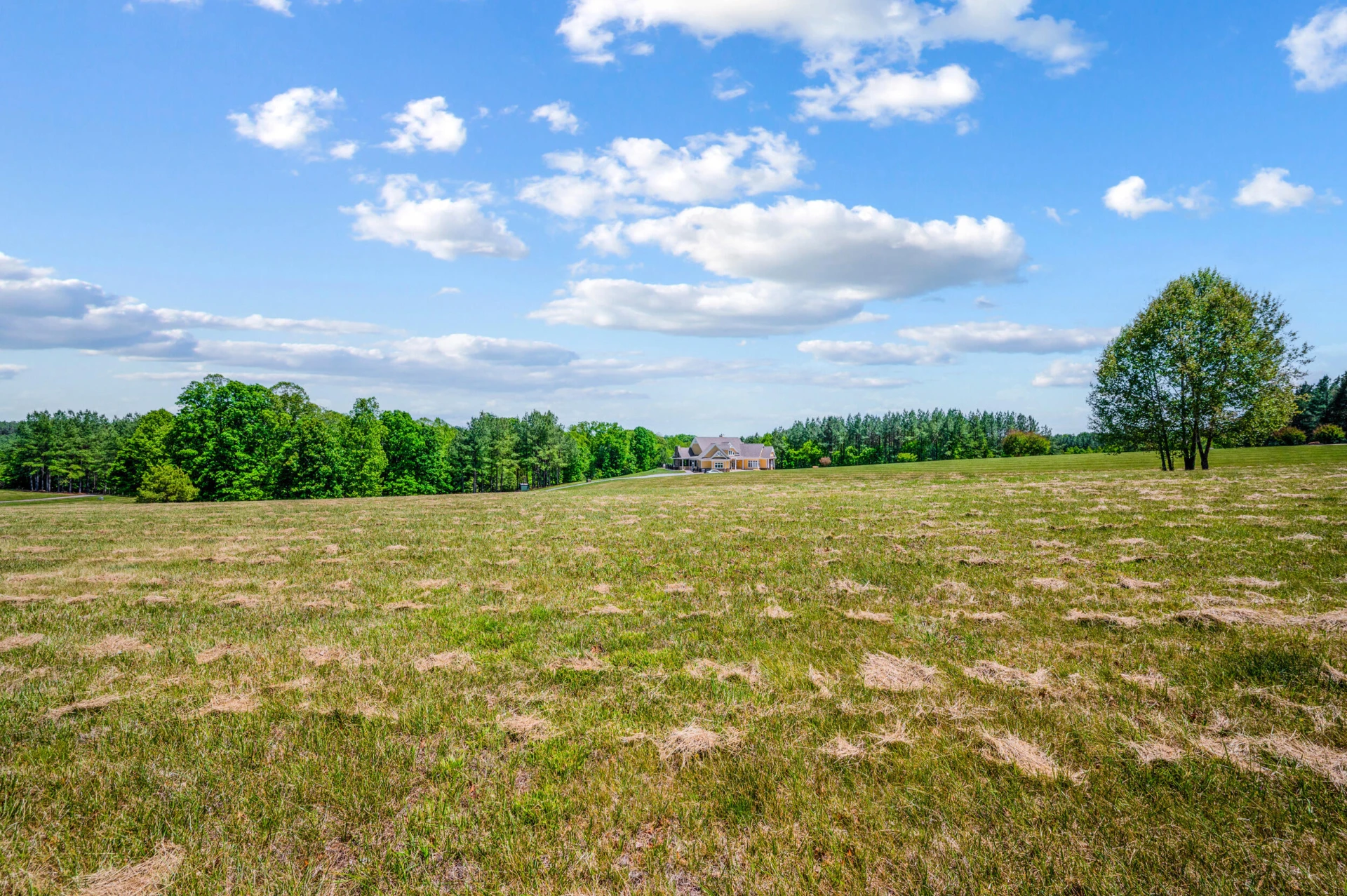 1038 Lees Mill LN - Photo 126