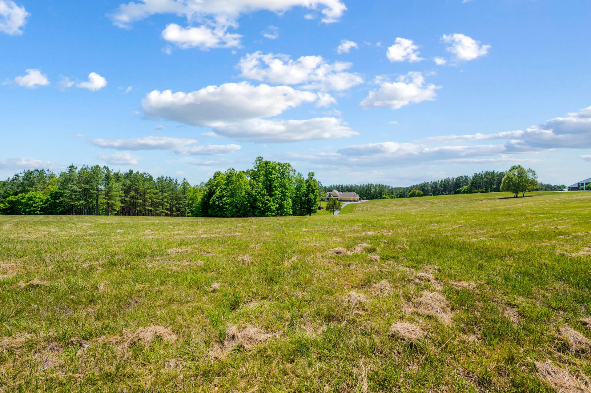1038 Lees Mill LN - Photo 127