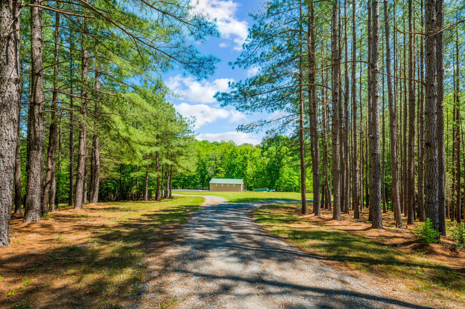 1038 Lees Mill LN - Photo 128
