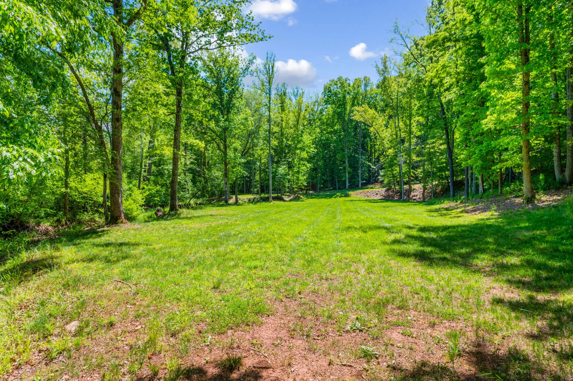 1038 Lees Mill LN - Photo 136