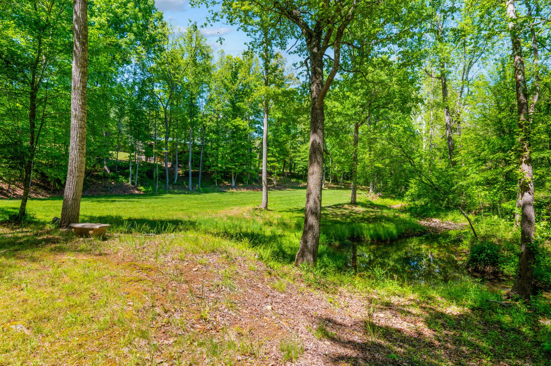 1038 Lees Mill LN - Photo 137